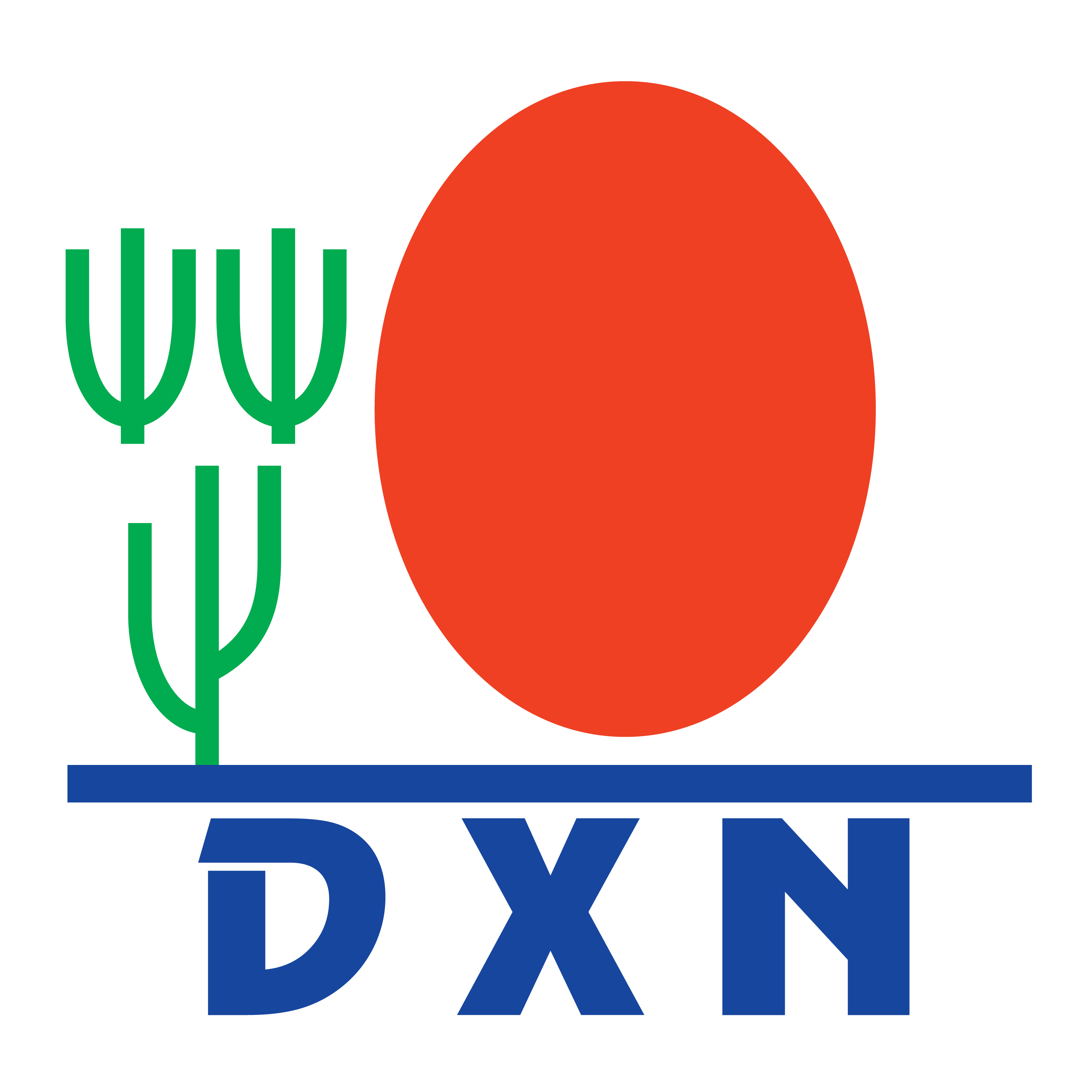 DXN Logo